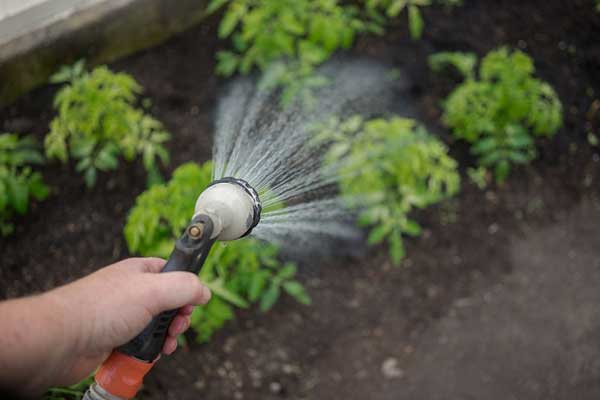 سیستم آبیاری دستی در گلخانه ها