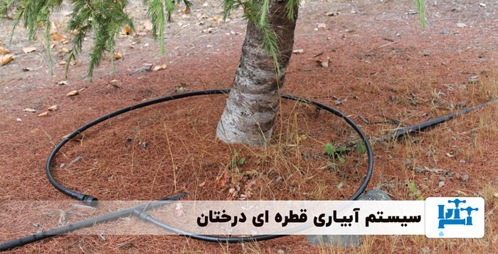 سیستم آبیاری قطره ای برای درختان
