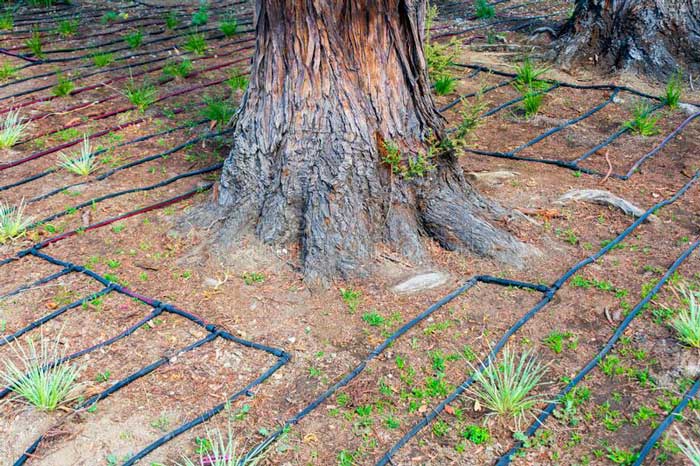 پیاده سازی سیستم آبیاری درختان