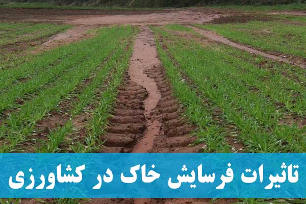 فرسایش خاک در کشاورزی