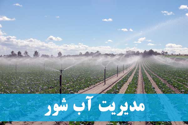مدیریت کردن آب شور در کشاورزی